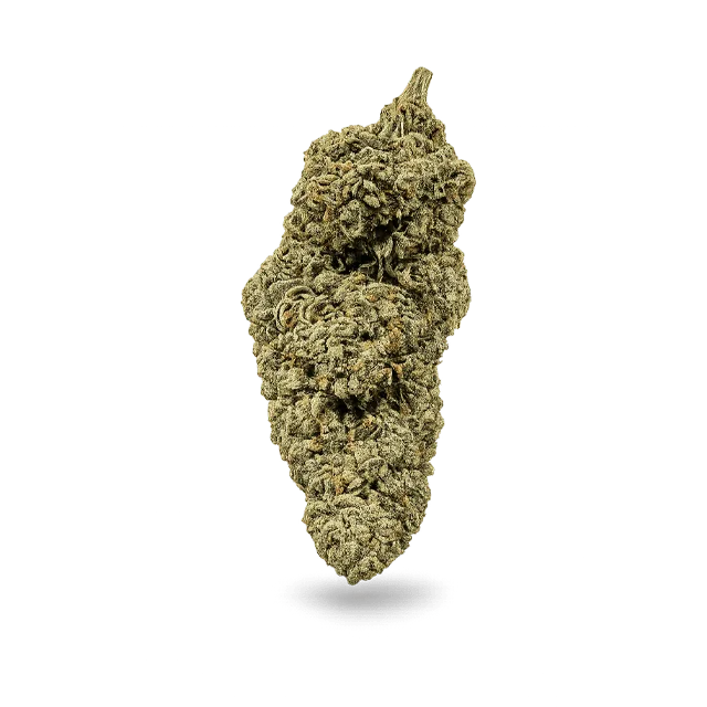 Cali CBD Blüten kaufen – laborgeprüft, THC unter 0,2% | FlowerPowerCBD