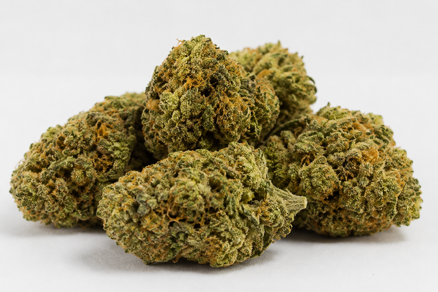Standard CBD Blüten