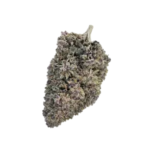 Cherry Pie CBD Blüten kaufen – laborgeprüft, THC unter 0,2 % | FlowerPowerCBD von www.flowerpowercbd.de